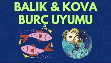 Balık ve Kova Burç Uyumu